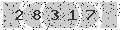 verify code