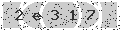 verify code