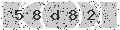 verify code