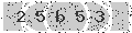 verify code