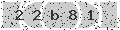 verify code