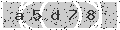 verify code